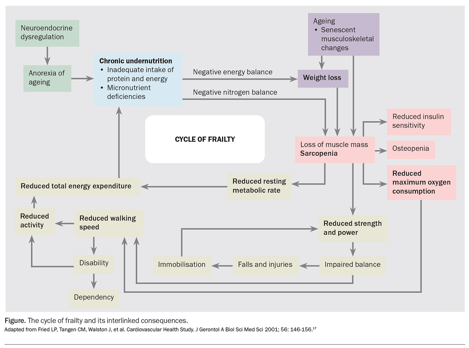 the-ravages-of-prolonged-bed-rest-an-update-on-multidisciplinary-care